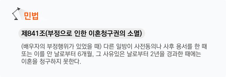 민법841조 배우자의 부정으로 인한 이혼청구권 소멸시효 규정